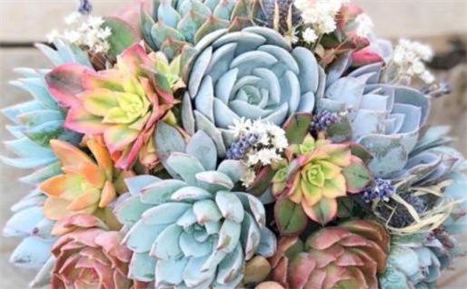 2026年农历正月廿七结婚趋吉避凶了吗？ 今日办婚礼好吗