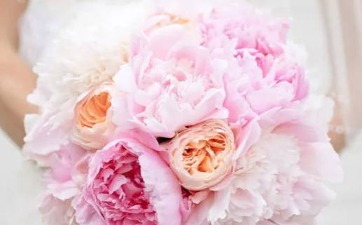 2026年03月20日领证是否合时宜？ 今日领证好吗