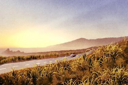 2026年农历正月十九提车是黄道吉日不？ 今日提车买车好吗