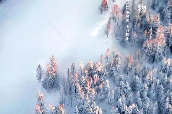 小雪_初雪降临 小雪_初雪降临