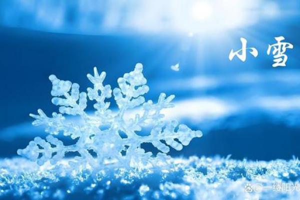 小雪_初雪降临 小雪_初雪降临