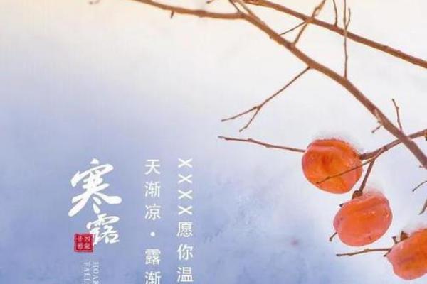 寒露_寒意渐浓 寒露_寒意渐浓