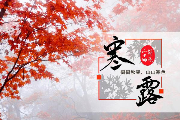 寒露_寒意渐浓 寒露_寒意渐浓