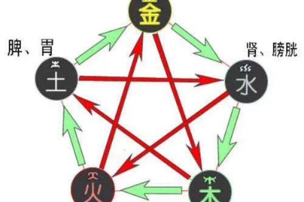 艺术性格解析新视角：五行格局如何成就你的独特魅力