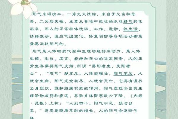 探索一年中的传统节日与养生之道 探索一年中的传统节日与养生之道