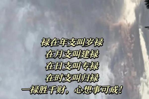 颠覆传统：八字命理中的命运密码，竟然是这样？