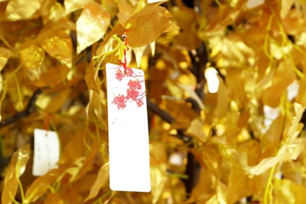 如何破解八字命运？水晶能带来意想不到的转机