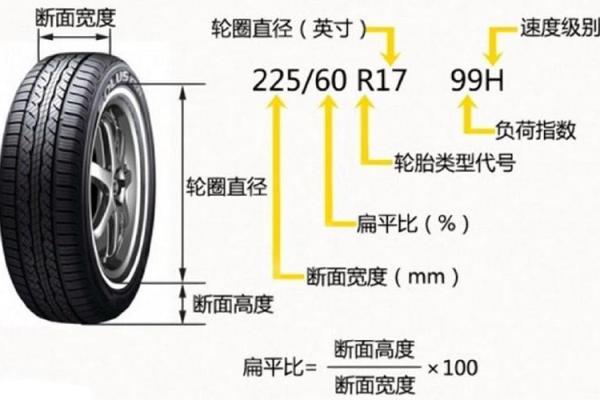 轮胎五行性格解析：你的轮胎选择是否反映了你的内在？