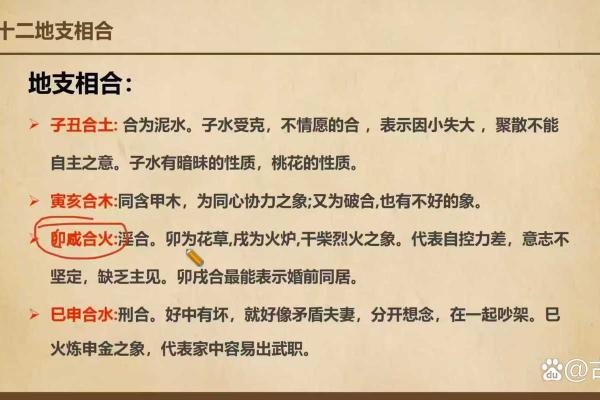 命运密码大揭秘：如何通过八字破解人生困局