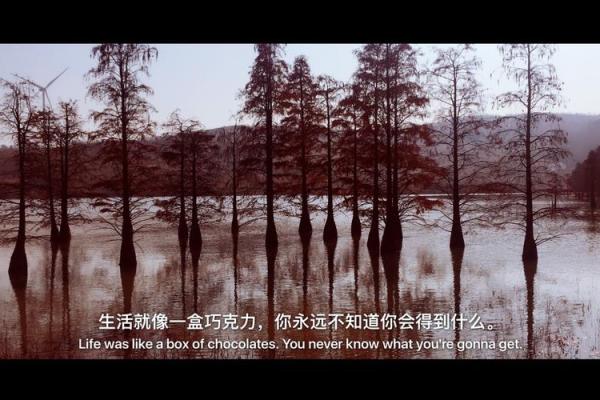 生日管家命理测试颠覆传统观念，让你重新认识自己的命运