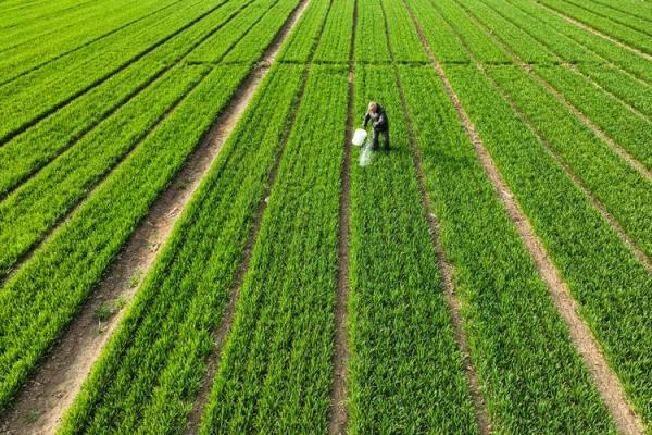 七月农事忙，适宜播种的农耕时节