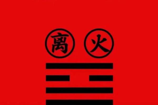 火相性格反而强大?揭秘五行格局中的隐藏力量 火相性格反而强大?揭秘五行格局中的隐藏力量