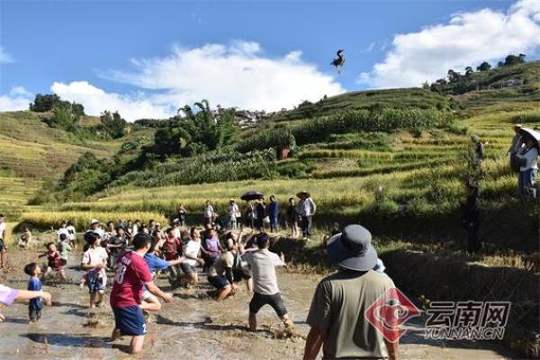 哈尼族传统节日与农耕文化的深厚联系