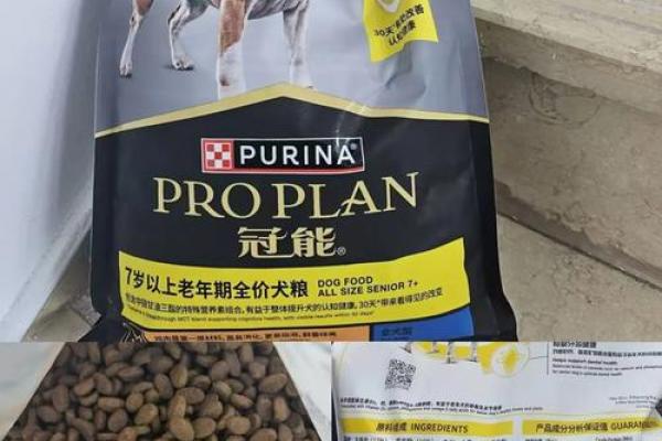 如何改变狗狗的五行格局？实用指南，让你的爱犬焕发新活力