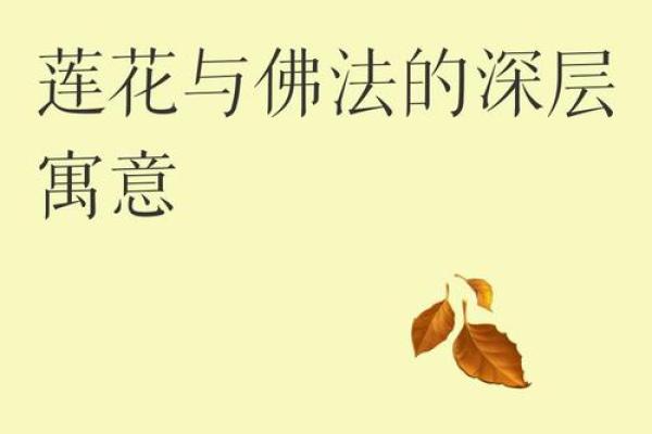 荷花之谜,五行格局揭秘:颠覆传统,性格解析新视角 荷花之谜,五行格局揭秘:颠覆传统,性格解析新视角