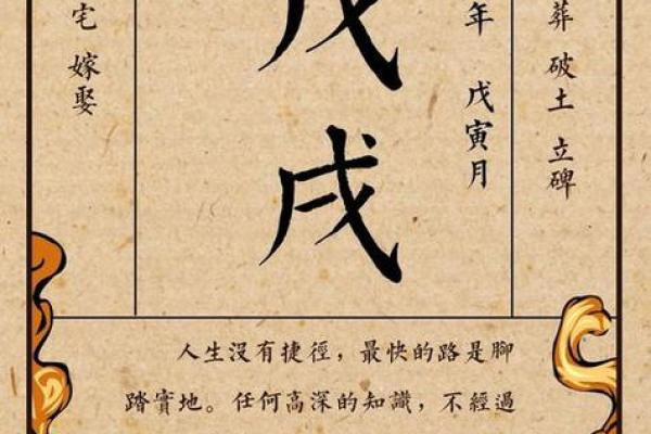 林志颖的命运如何改变？八字解析给你答案