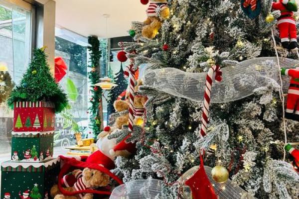 圣诞节的节令养生与温暖家居