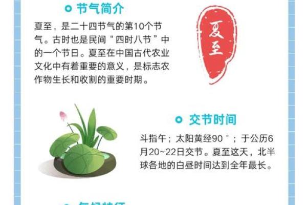 ——夏至前夕，如何通过饮食养生迎接最热时节