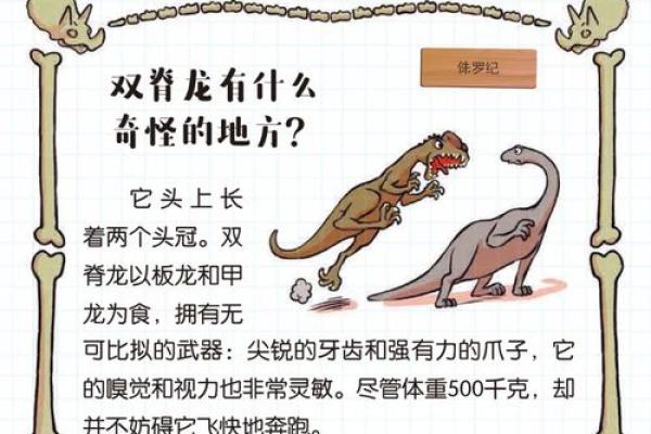 子时五行格局揭秘：你的命运之钥，如何开启？