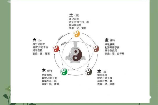 五行性格解析反而让你更强大？破解性格提升的奥秘