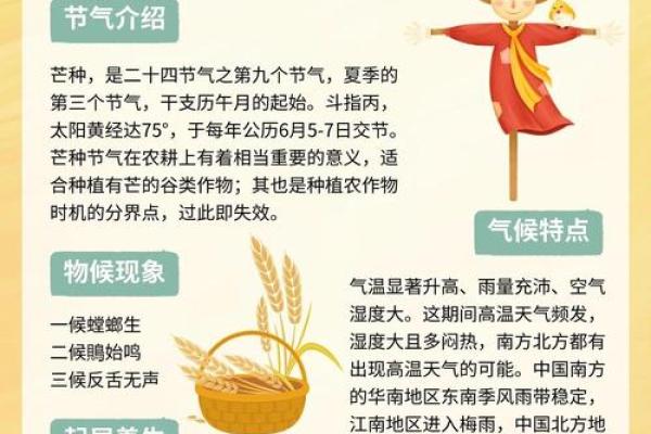 通过传统节日了解中国古代农耕文化