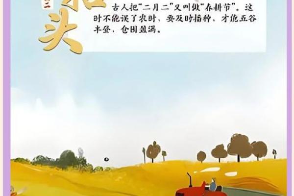 农耕文化与节气相伴，全国节日背后的自然智慧