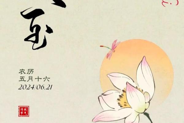 夏至，了解与传统节日相关的文化与节气变化