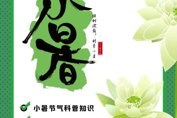 小暑节气与夏季养生：如何在炎热中保持健康