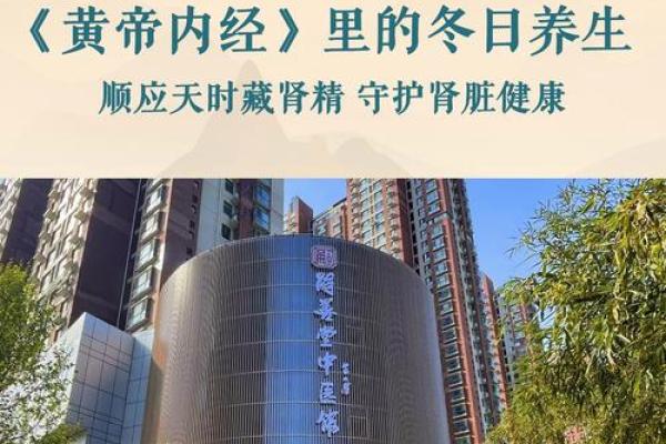 节日歌曲背后的养生哲学与生活智慧 节日歌曲背后的养生哲学与生活智慧