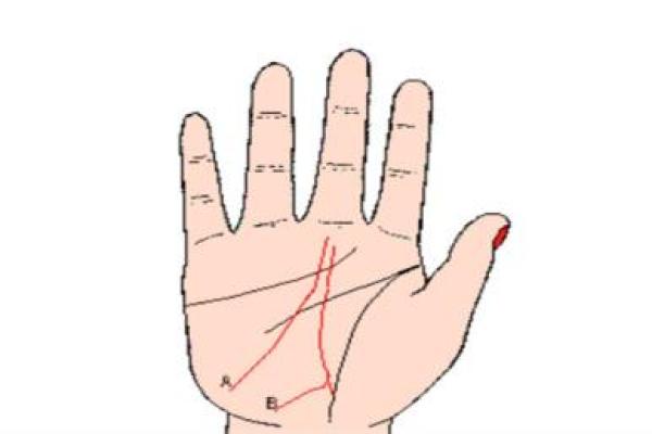 平派命理背后的秘密，如何让八字为你铺路