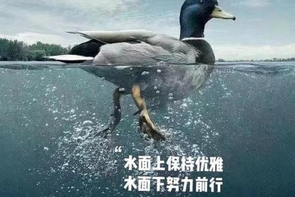 雷佳音的命运密码暗藏玄机，如何反而让你改变人生轨迹