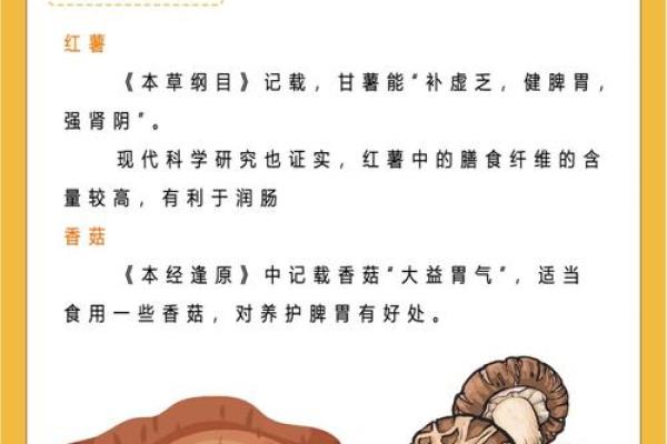 秋冬交替时节的养生秘笈