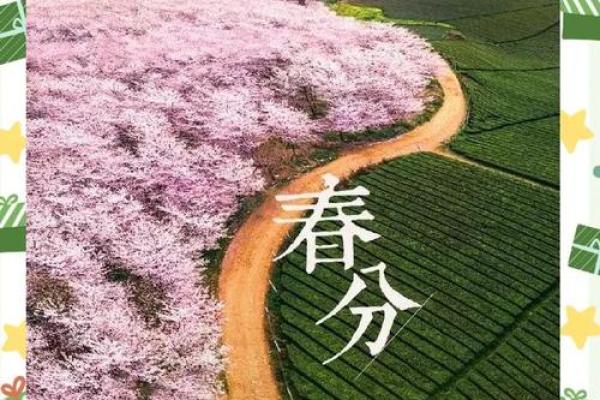 世界各国如何庆祝春分节：农耕与天文的完美结合