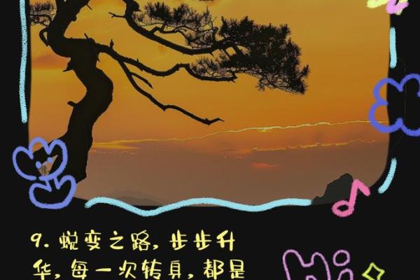 五行格局：避开性格陷阱，实现人生华丽转身的方法论