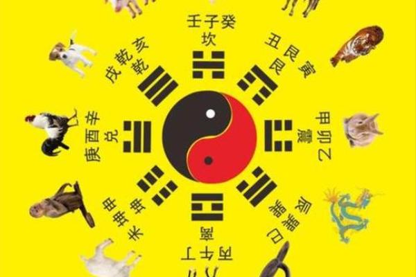 属狗命理的误区：如何改变命运，反而让你走向更好的发展道路