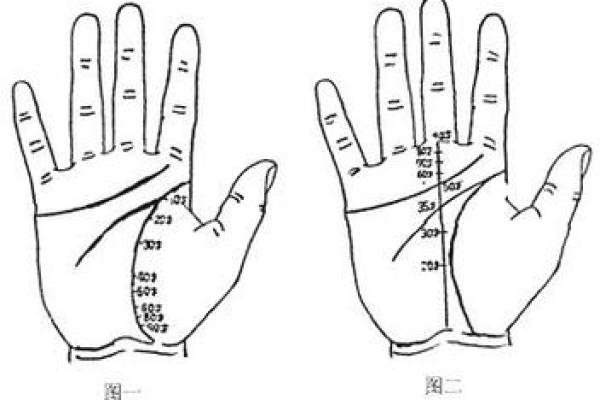 如何改变手掌发青带来的命运?破解常见误区,反而能逆转你的未来 如何改变手掌发青带来的命运?破解常见误区,反而能逆转你的未来