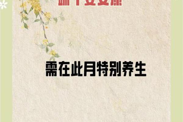 五月初五端午节，粽香飘万里，背后的养生与习俗你知道吗