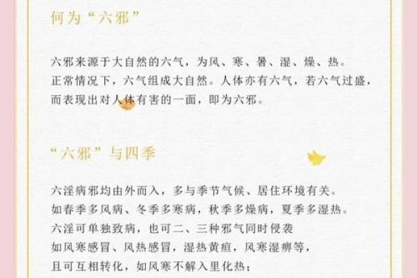 四季更替中的养生之道：如何通过节日调整生活方式