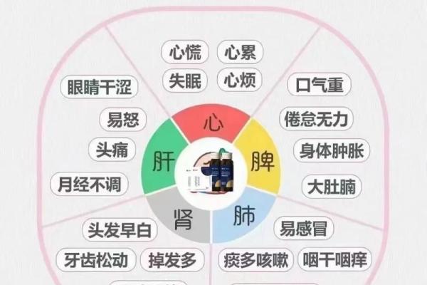 中秋养生秘笈:如何在节日期间调养身体 中秋养生秘笈:如何在节日期间调养身体