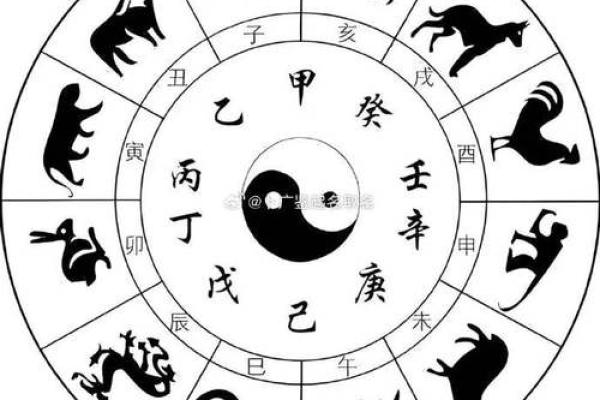 五行格局揭秘:玉的五行属性如何影响你的性格? 五行格局揭秘:玉的五行属性如何影响你的性格?