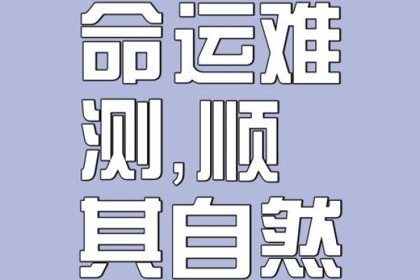 揭秘手机命理数:它能改变你的人生轨迹吗? 揭秘手机命理数:它能改变你的人生轨迹吗?