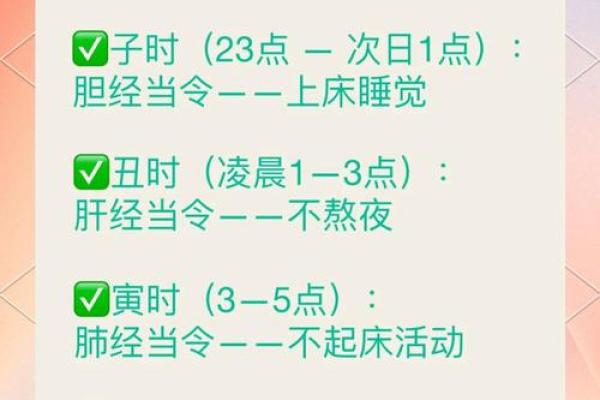 ——养生与自然节律相伴的日子