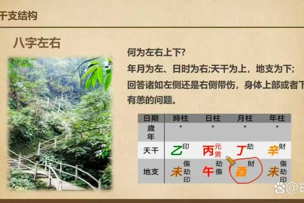 探秘四柱命理:命运密码背后的暗藏玄机 探秘四柱命理:命运密码背后的暗藏玄机