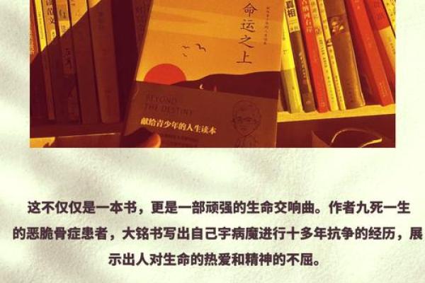 命运密码揭秘:鼠兔相刑,反而助力人生逆袭 命运密码揭秘:鼠兔相刑,反而助力人生逆袭