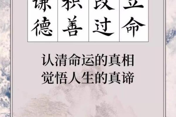 命运密码揭秘:鼠兔相刑,反而助力人生逆袭 命运密码揭秘:鼠兔相刑,反而助力人生逆袭