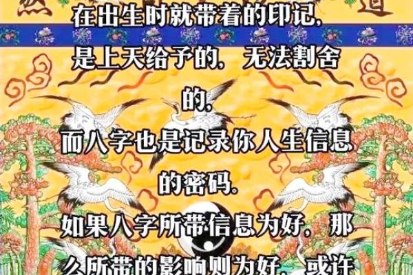 命运密码大揭秘:陈冠宇八字背后的深层玄机 命运密码大揭秘:陈冠宇八字背后的深层玄机