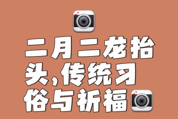 节日习俗：从农耕到现代的文化传承