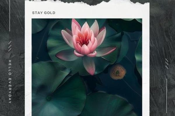 误区大揭秘:五行格局如何颠覆传统婚姻观念? 误区大揭秘:五行格局如何颠覆传统婚姻观念?