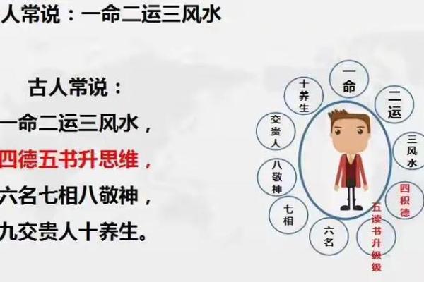 猫字五行格局揭秘:性格解析如何影响猫咪命运? 猫字五行格局揭秘:性格解析如何影响猫咪命运?