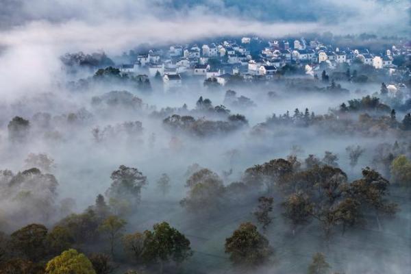 晨雾迷踪:晨字五行属金还是火?揭秘性格奥秘与改变格局 晨雾迷踪:晨字五行属金还是火?揭秘性格奥秘与改变格局